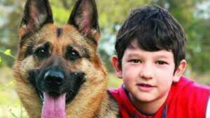 Hangi köpek favoriniz?