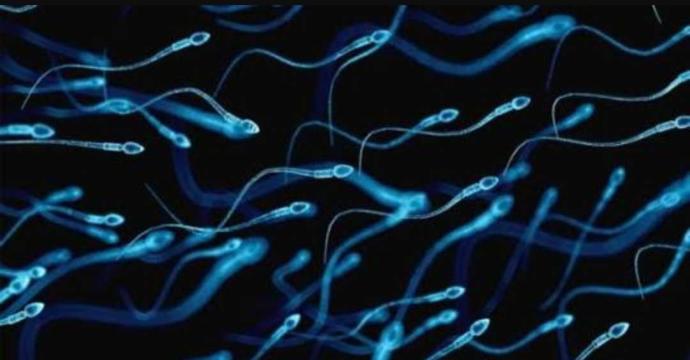 Sperm cilde iyi geliyor, diş çürüklerini engelliyor! Daha bir çok faydası olduğunu biliyor muydunuz 👇 ?