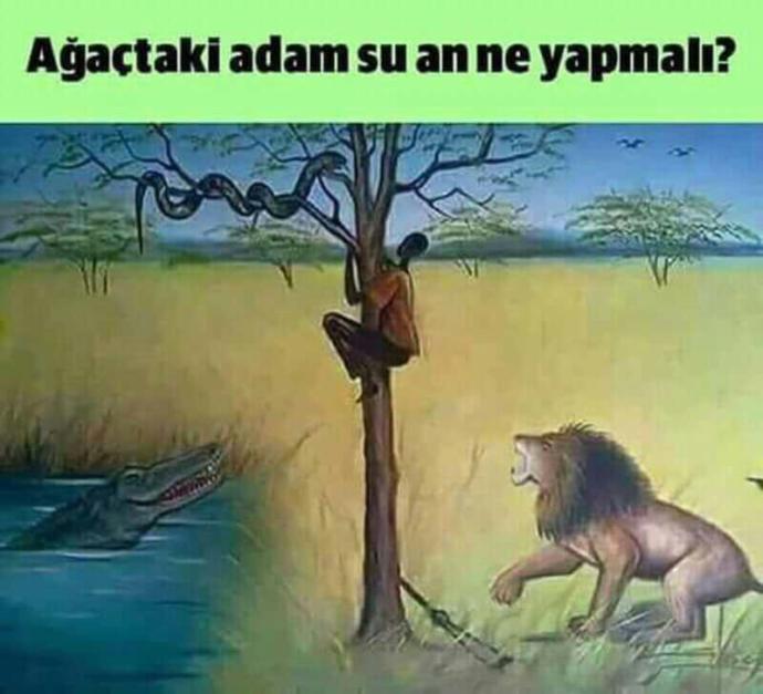 Sizce Fotoğraftaki Adam Nasıl Kurtulur?