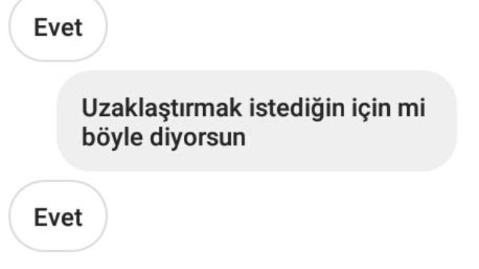 Seven insan gider mi?