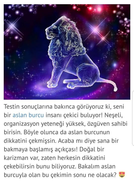 Hangi Burcun İnsanı Seni Çekici Buluyor?