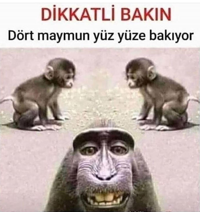 Resime dikkatli bakın ne görüyorsunuz?