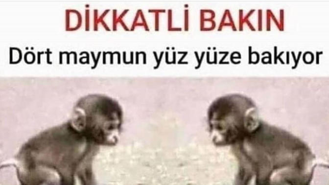 Resime dikkatli bakın ne görüyorsunuz?