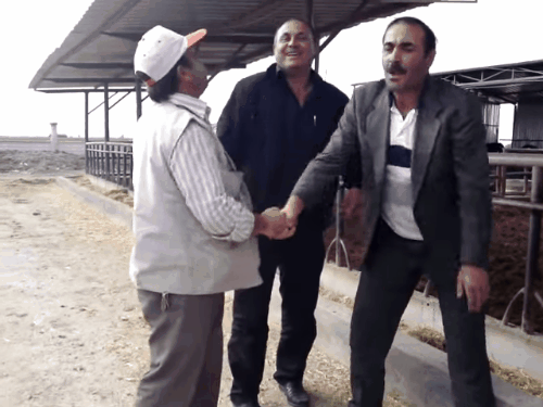 En iyi pazarlık taktiği nedir?