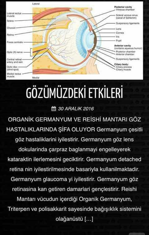 Miyoptan Nasıl Kurtulurum?