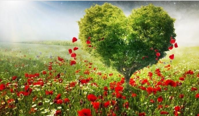 Zayıflık nedir? Güç nedir? Bağzen güçlü dediğimiz yanımız en zayıf noktamız olabilirmi?