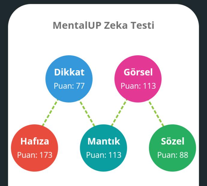 Zeka testi hiç yaptınız mı?
