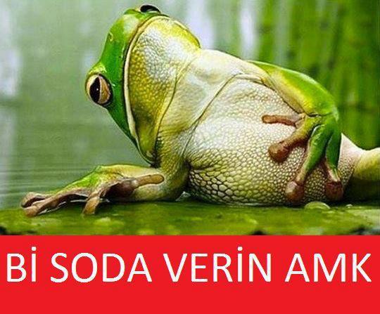 Lütfen doğru olun arkadaşlar gelin mi yakışıklı damat mı?