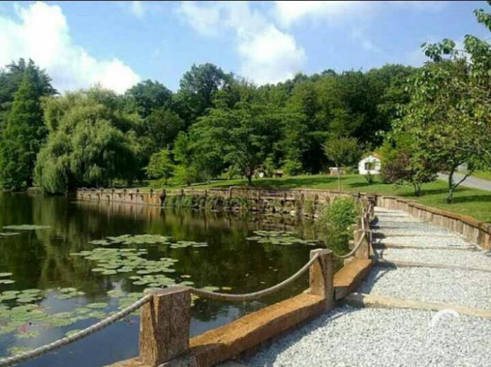 Atatürk Arboretumu'na gittiniz mi?