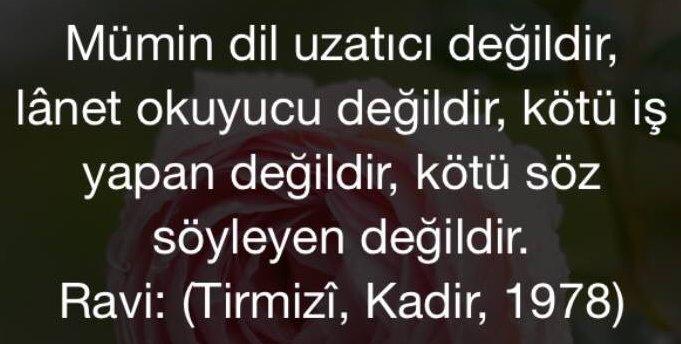 İnsan sevdiğine kötü söz söyler mi? Söylemişse o sevginin değeri yok mudur? Kendinizi kötü söz söylememek için zorlar mısınız?