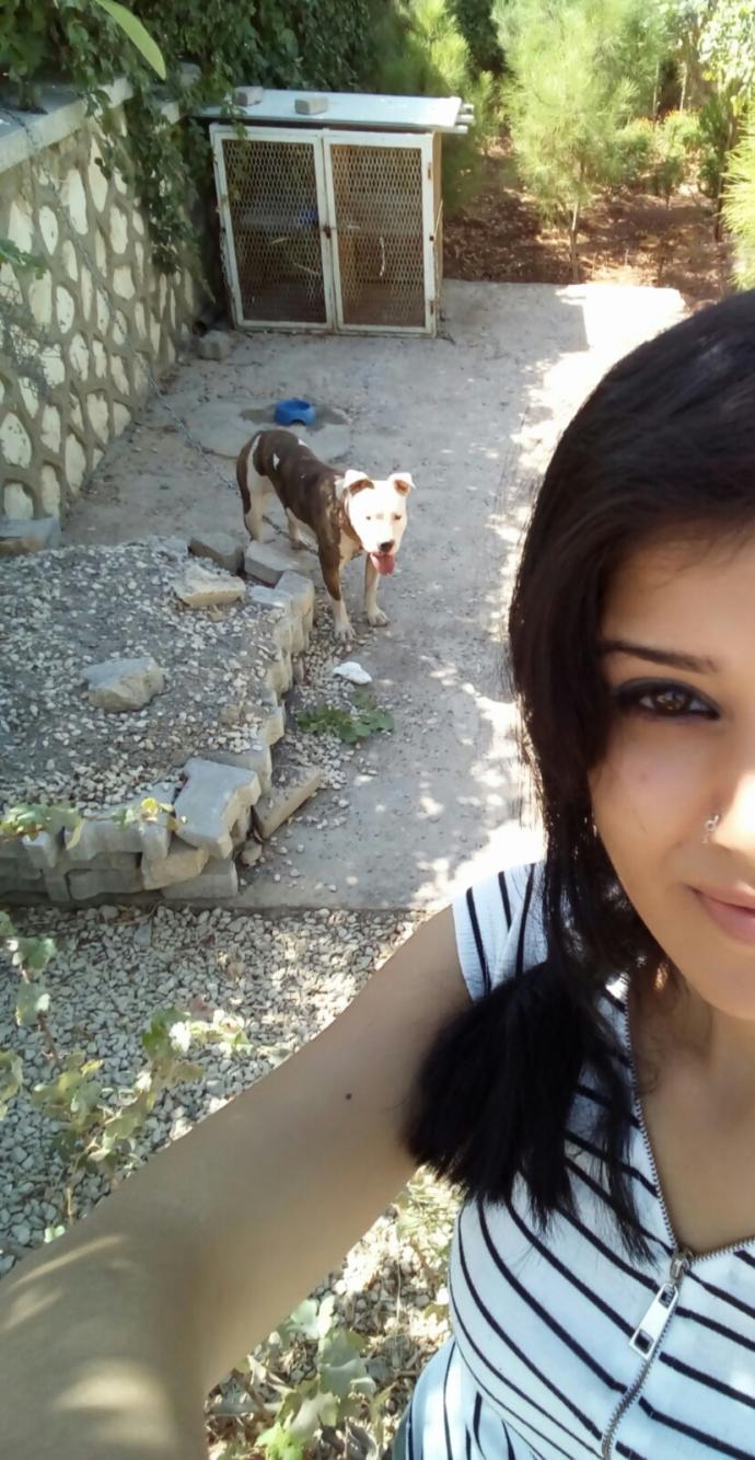 Şube müdürlüğümüzce yakalanan dişi pitbull cinsi köpek çok sevimli değil mi?