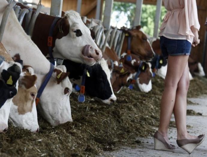 Violetta va Helen Incredibles porno komiks Amatorske jinsiy aloqa video Vinnitsa