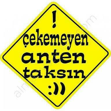 Karşı cinsin en çekilmez yaş aralığı nedir?