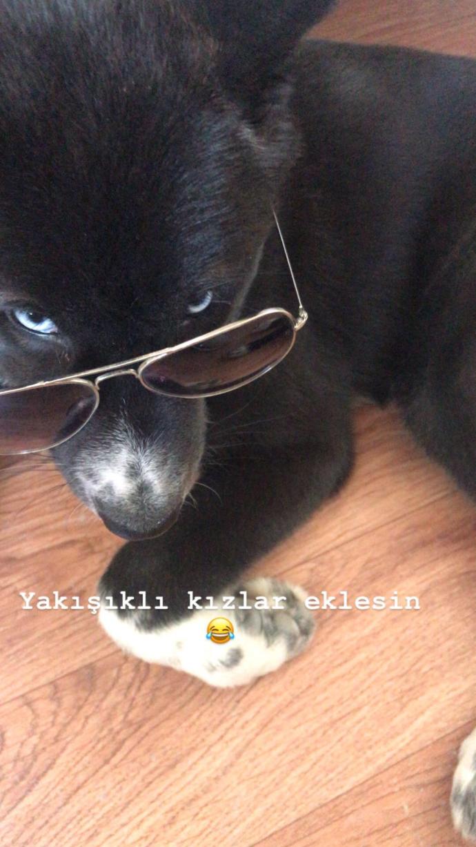 Hayvanları sevmeli mesela..