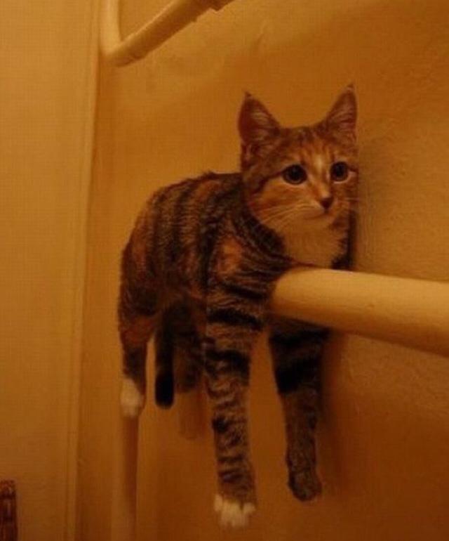 Teyzem, random atmak günah dedi ne yapıcam ben şimdi?