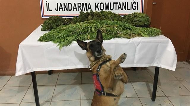 Fotoğraflarda iyi poz verenlerden misin? Yoksa gözü hep kapalı ya da kırmızı çıkanlardan mı?