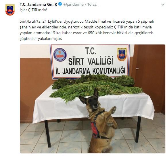 Fotoğraflarda iyi poz verenlerden misin? Yoksa gözü hep kapalı ya da kırmızı çıkanlardan mı?