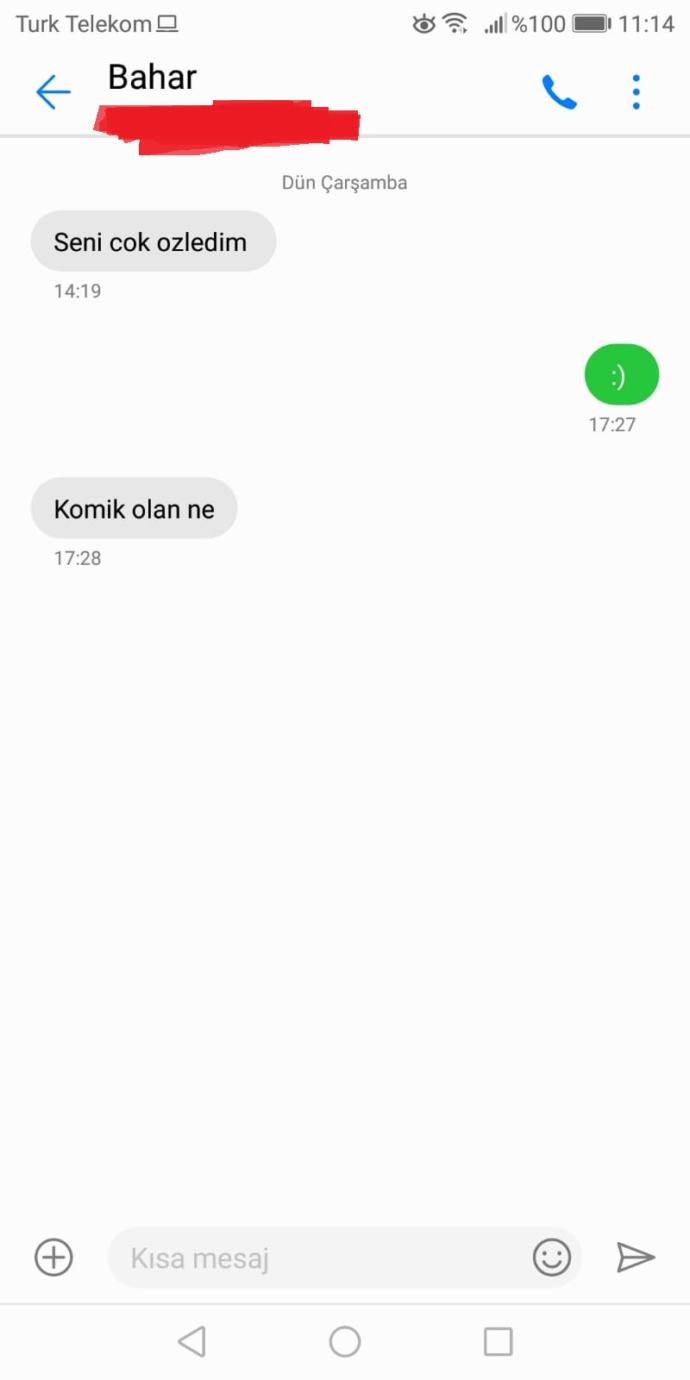 Bir kız neden seni çok özledim yazar?