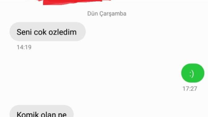Bir kız neden seni çok özledim yazar?