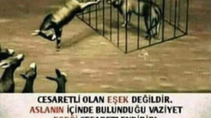 Bu ne demek? Sevgilinizle küsmüşseniz ve duruma bunu atıyorsa ne düşünürsünüz?