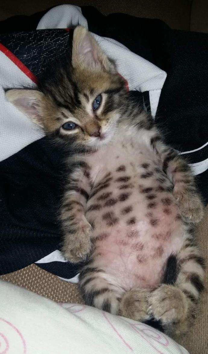 Kadınlar, sizce bu dünyadaki en güzel varlık mıdır?