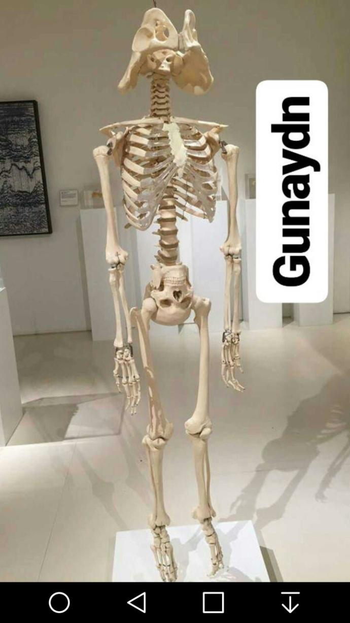 Sıcacık yatağına veda edip okula ve ya işe giden var mı?