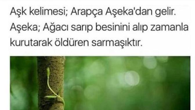 Aşk size göre nedir?