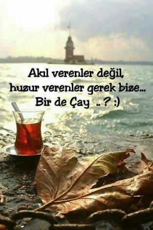 Dikiş makinesi alacağım, bir öneriniz var mı?