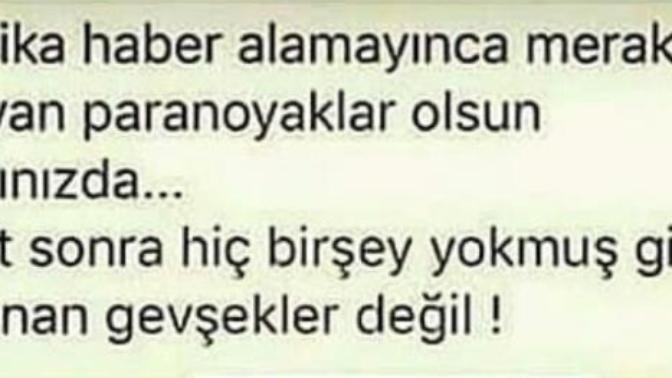 Hangisi olmalı? Tercihiniz nedir?