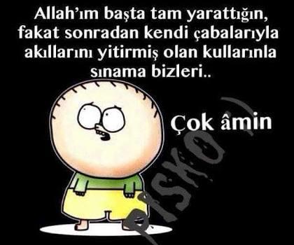 Deliye mi yoksa akıllıya mı hasretsiniz?