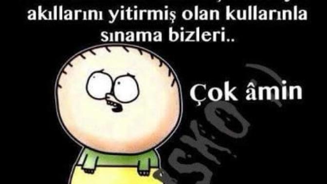 Deliye mi yoksa akıllıya mı hasretsiniz?