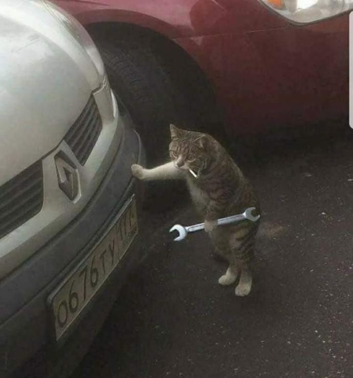 Ne kadar cimrisin?