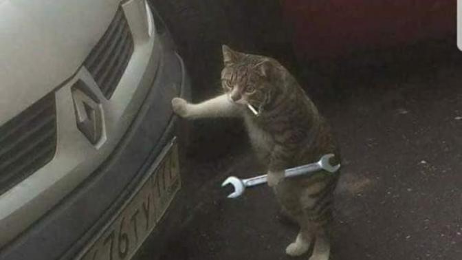 Ne kadar cimrisin?