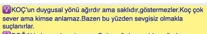 Koç kadını hangi rengi sever özellikleri nelerdir?
