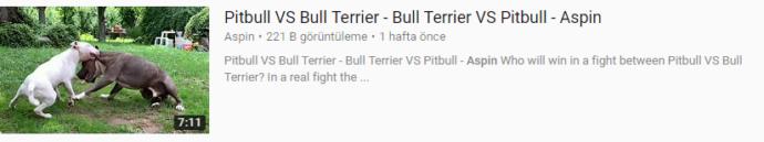 Black Pitbull hakkındaki düşünceleriniz neler?