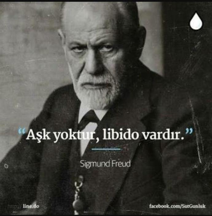 Erkekler bedenini arzuladığına mı aşık olur yoksa aşık olduğu bedeni mi arzular?