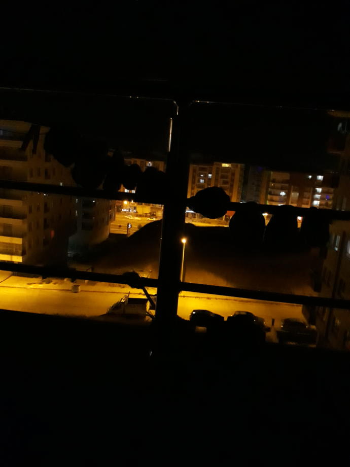 Gece gece ne yapıyorsunuz?