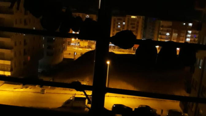 Gece gece ne yapıyorsunuz?