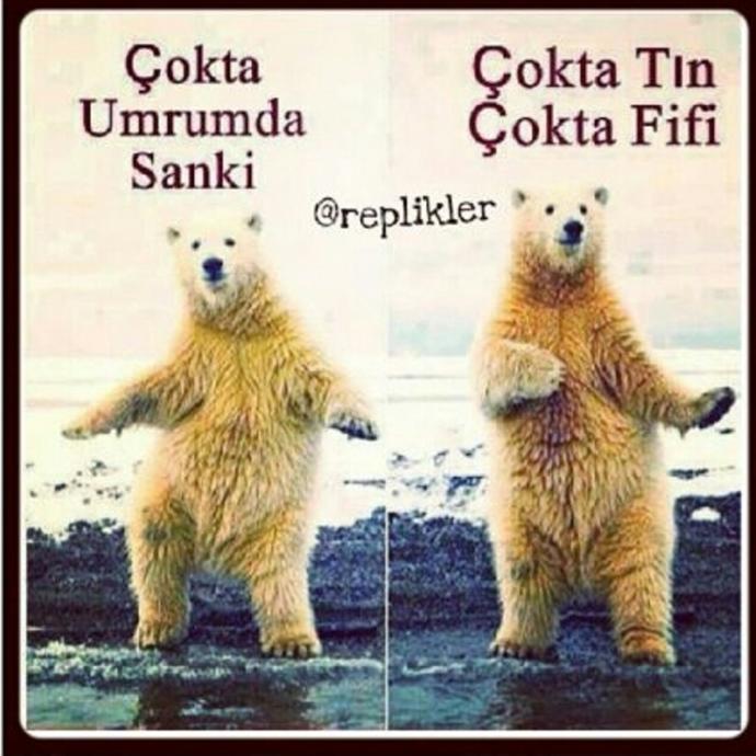Ya instagrammda bazi cok yükselmis sanatcilarin asiri üstüne variliyor öyle igrenc yorumlar varki ne düsünüyosunuz bu konuda?