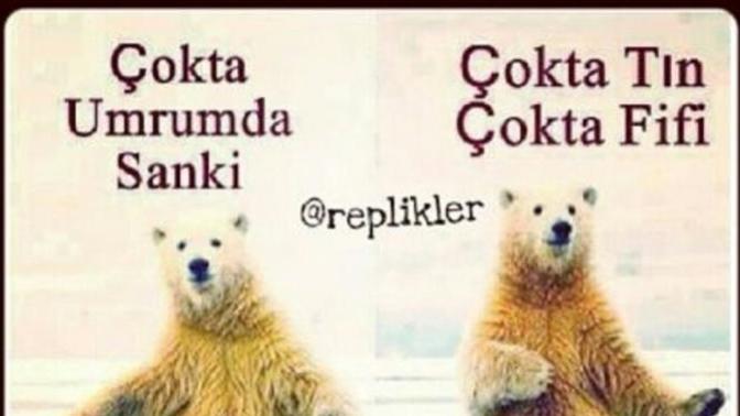 Ya instagrammda bazi cok yükselmis sanatcilarin asiri üstüne variliyor öyle igrenc yorumlar varki ne düsünüyosunuz bu konuda?