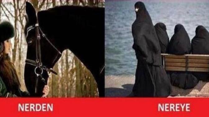 Türkler özüne dönmeli mi ne düşünüyorsunuz?