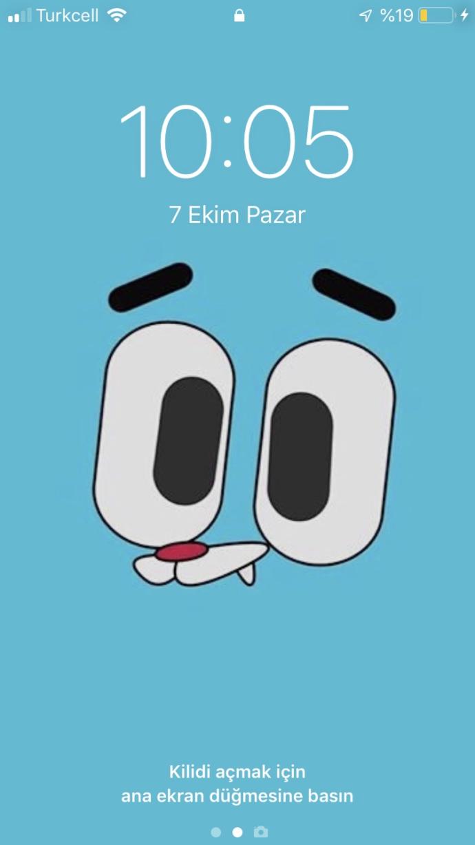 Cep Telefonu Ekran Görüntüleriniz?