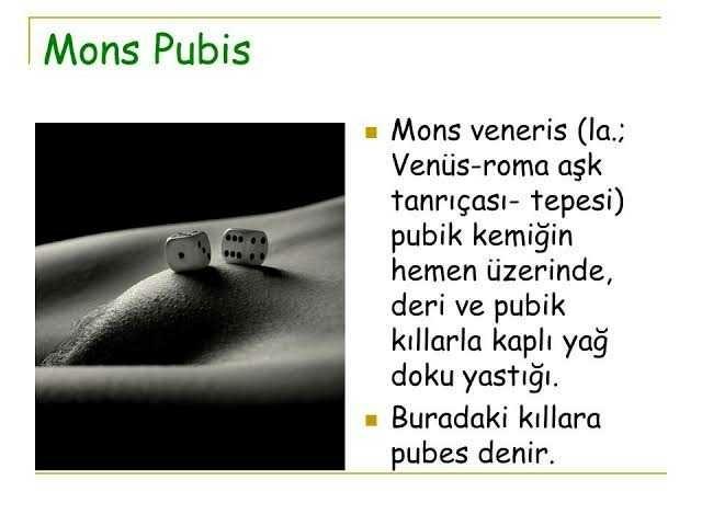 Venüs tepesine çare nedir? Sporla halledilen bir sorun mu yoksa estetik cerrahi müdahale şart mı?