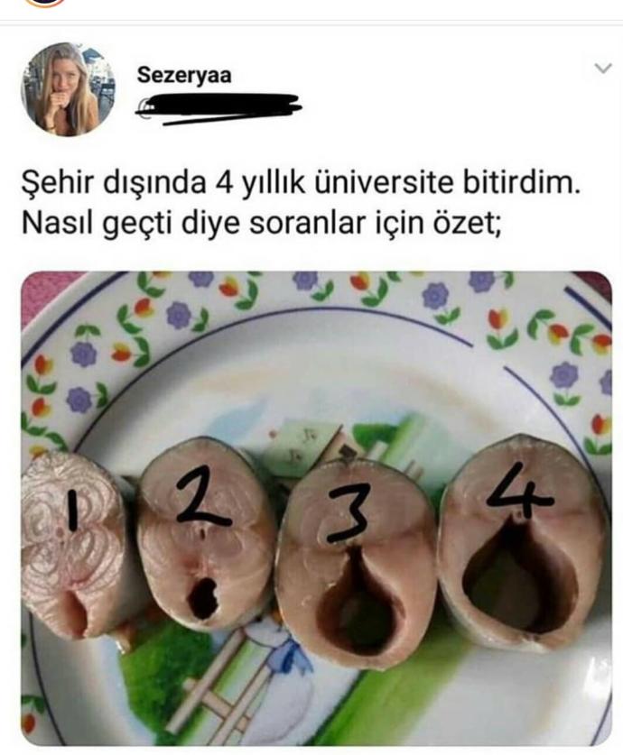Şehir dışında aileden uzak üni okumak nasıl sizce?