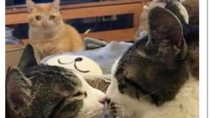 Sevdiğiniz insanı bir başkasıyla görseniz üzülür müsünüz, yoksa yolunuza devam mı edersiniz?
