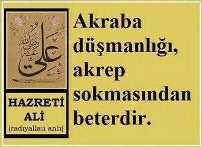 Akrabalar akrep?