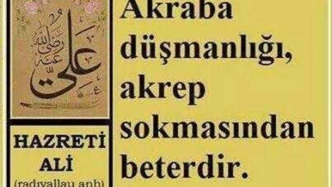 Akrabalar akrep?
