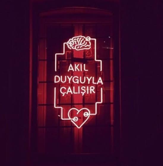 Sizce Akıl Duyguyla mı çalışır Mantıkla mı?