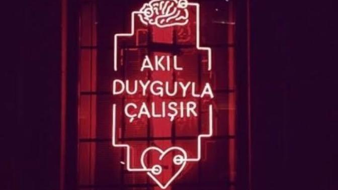 Sizce Akıl Duyguyla mı çalışır Mantıkla mı?