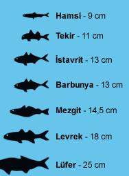 En az 18 cm olmalı! Sizce bu ne?